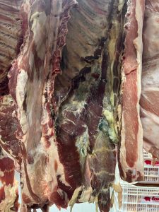 Apreensão de carne em Vila Velha. Foto: PMVV