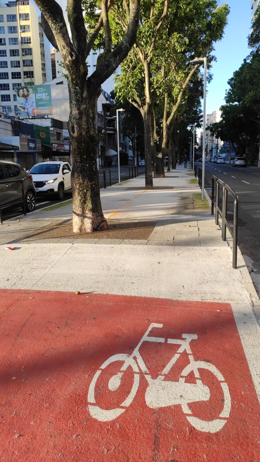 Ciclovia da Avenida Rio Branco, na Praia do Canto, Vitória. Foto: Danielli Saquetto