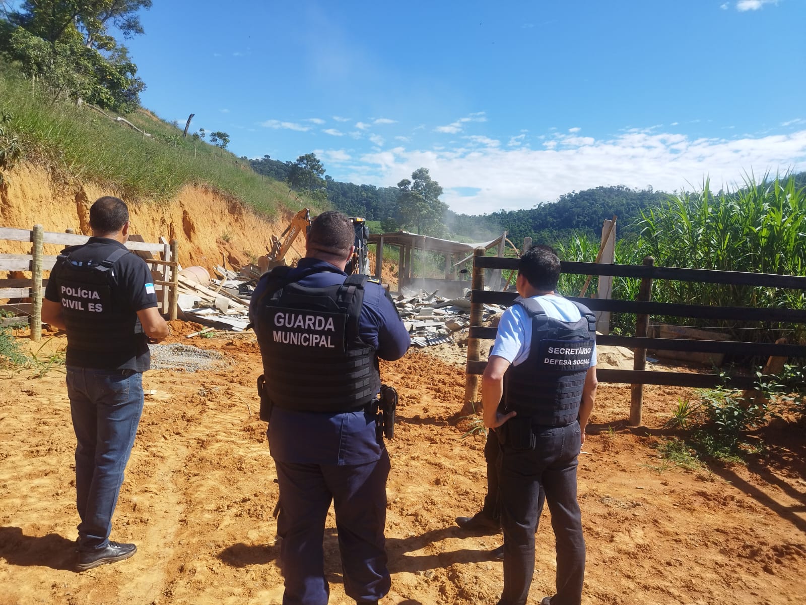 Operação conjunta apreende quatro toneladas de carne de cavalo em