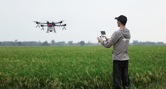 A utilização de drones se espalhou com enorme efeito na nutrição de plantas e no controle de pragas. Foto: Pixabay