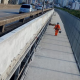 Barreira de proteção contra o suicídio na Terceira Ponte. Foto: Divulgação