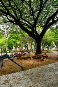 Parques de Vitória vão ganhar novos brinquedos acessíveis. Foto: Leonardo Duarte