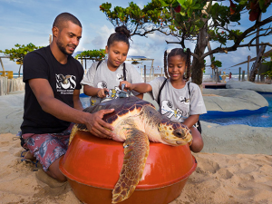 O “Programa Biólogo Por Um Dia”, do Projeto Tamar, oferece a oportunidade de crianças cuidarem de tartarugas por um dia. Foto: Divulgação