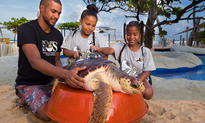 O “Programa Biólogo Por Um Dia”, do Projeto Tamar, oferece a oportunidade de crianças cuidarem de tartarugas por um dia. Foto: Divulgação