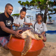 O “Programa Biólogo Por Um Dia”, do Projeto Tamar, oferece a oportunidade de crianças cuidarem de tartarugas por um dia. Foto: Divulgação