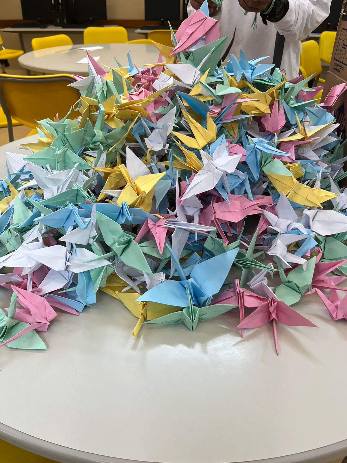 Origamis Tsurus. Foto: Arquivo Pessoal