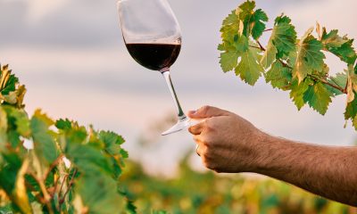 Vinho. Foto: FreePIk