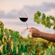 Vinho. Foto: FreePIk