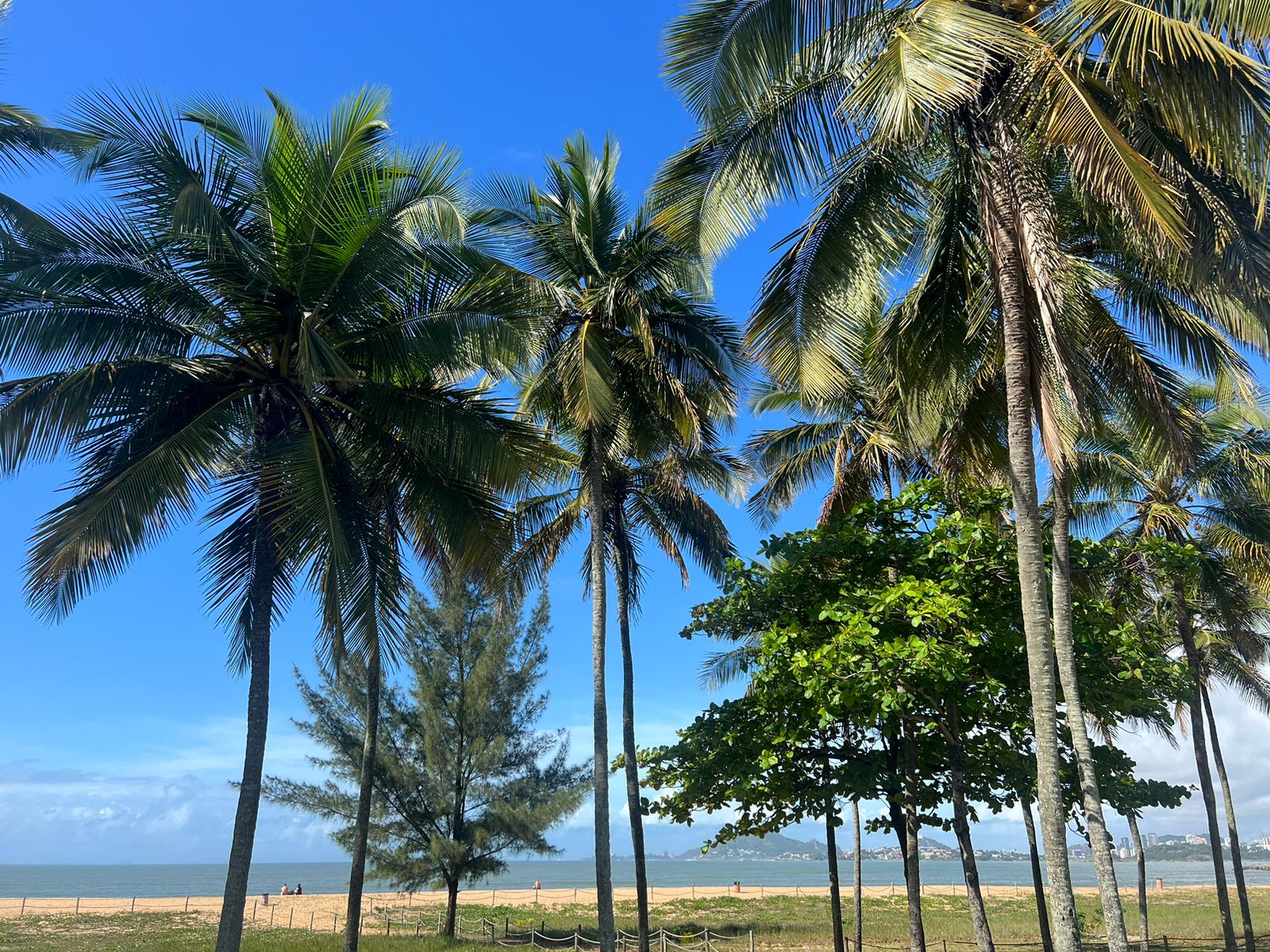 Dia de sol e temperaturas altas em Camburi