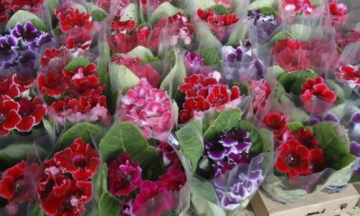 Vaso de flores. Foto: Reprodução