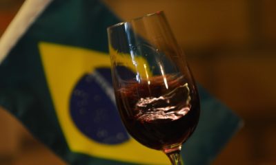 Vinho brasileiro ganha prêmio na França