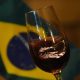 Vinho brasileiro ganha prêmio na França