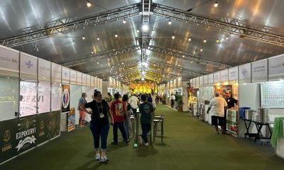 Empreendedorismo Feminino agita o Shopping na Serra neste fim de semana com  Feira Ecológica, Shows, Yoga e Oficinas Infantis Gratuitas 