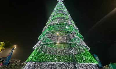 Árvore de Natal em Vila Velha