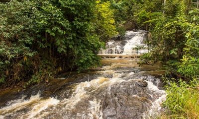 Águas do rio jucu ao lado de vegetação