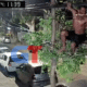 Homem se equilibrando em cabos para furtar