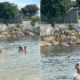 Banhistas assustados com tiros na Ilha do Frade