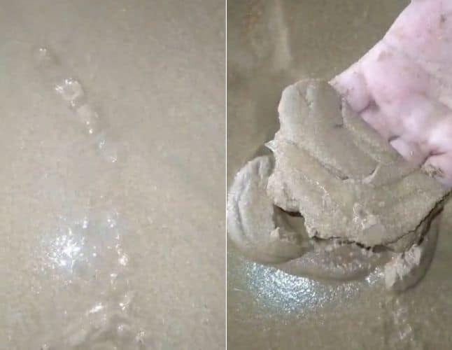 Enguias na fase larval em areia da praia de Jacaraípe
