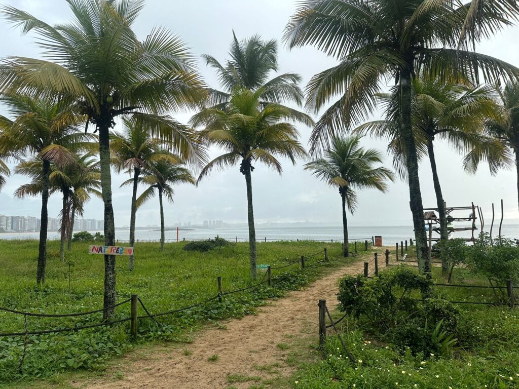 Céu nublado, areia da praia e coqueiros na Praia de Camburi, em Vitória