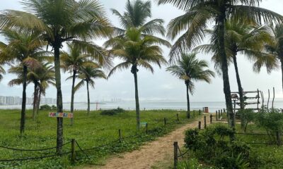 Céu nublado, areia da praia e coqueiros na Praia de Camburi, em Vitória