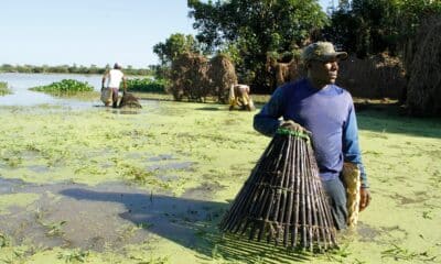 Documentário Servidão traz críticas a escravidão. Foto: Divulgação