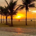 Coqueiros e ao fundo o sol nascendo na Praia da Costa, em Vila Velha. É possível ver o calçadão e uma faixa de pedestre