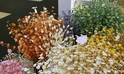 Flores produzidas com escamas de peixe é artesanato produzido no Espírito Santo