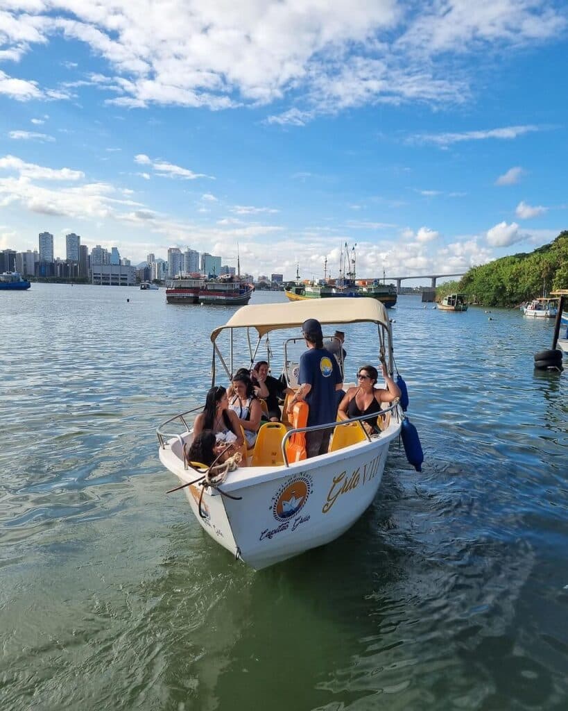 Agência Capitão Grilo promove passeio para observação de golfinhos na baía de Vitória