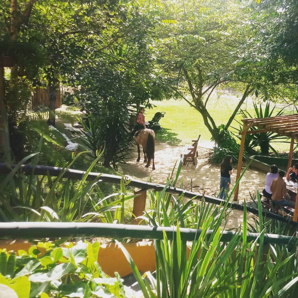 Área de mata e cavalgada na Fazenda Rancho Forte, em Vila Velha