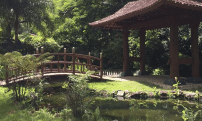 Natureza na parte interna do Mosteiro Zen Budista, em Ibiraçu