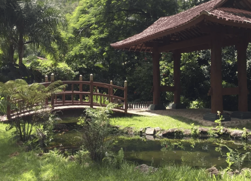 Natureza na parte interna do Mosteiro Zen Budista, em Ibiraçu