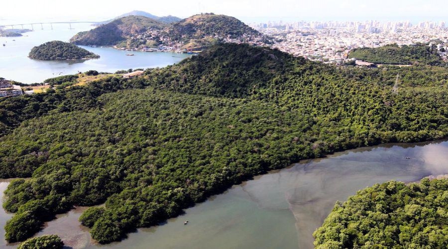 Vila Velha vai ganhar 50 mil mudas de árvores