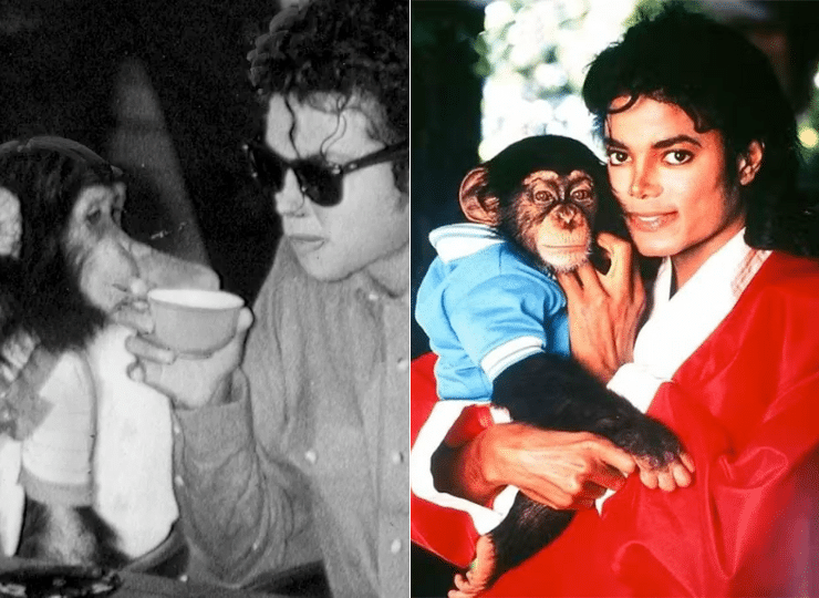 Bubbles foi comprado em 1986 por Michael Jackson. Foto: Reprodução