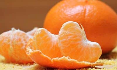 Mexerica é rica em vitamina C e compostos bioativos. Foto: Divulgação