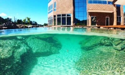 Casa de Vidro de Guarapari tem lago inspirado em fervedouro no Jalapão