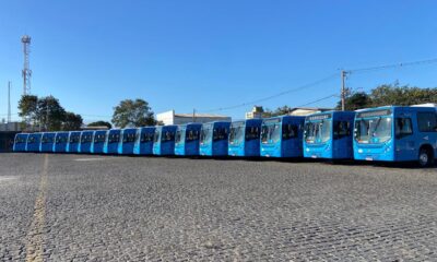 Sistema Transcol tem investido em uma frota mais sustentável e em ações ecologicamente corretas. Foto: Divulgação