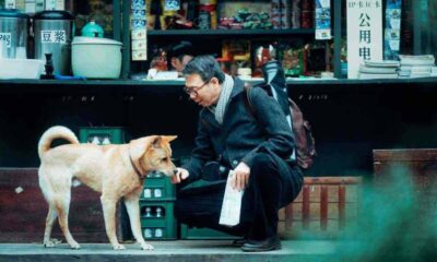 Hachiko. Foto: Reprodução/Paris Filmes