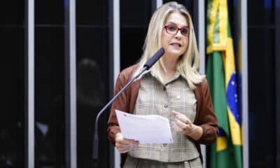 Soraya Manato foi deputada federal de fevereiro de 2019 a janeiro de 2023. Foto: Pablo Valadares/Câmara dos Deputados