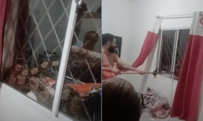 Vídeo| Moradora leva susto com cobra na janela em Cariacica