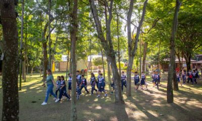 Férias escolares: programação gratuita para criançada em Vitória