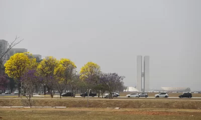 O Distrito Federal enfrenta alerta de qualidade do ar devido à fumaça das queimadas. Foto: Agência Brasil