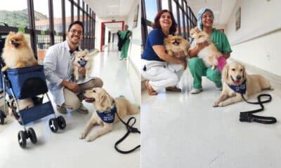 Cãoterapia - pets levam alegria e amor a idosos internados no Espírito Santo