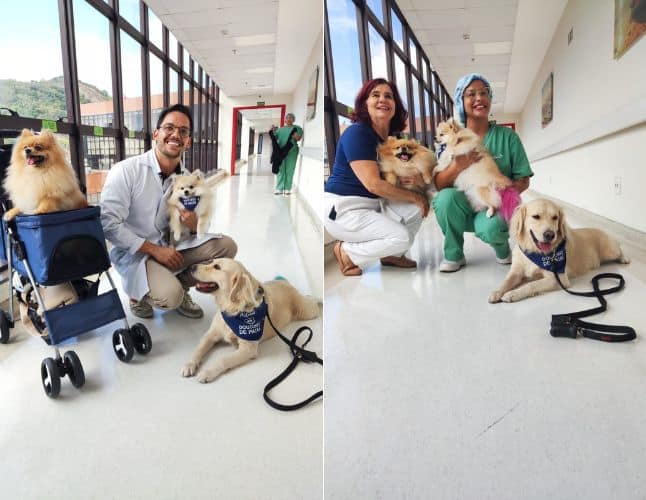 Cãoterapia - pets levam alegria e amor a idosos internados no Espírito Santo