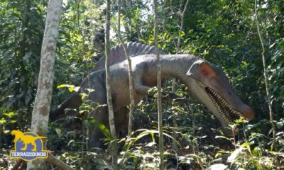 Projeto mostra tipo de dinossauro que estará no parque temático construído em Guarapari