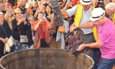 Santa Teresa se prepara para Festa do Vinho e da Uva.