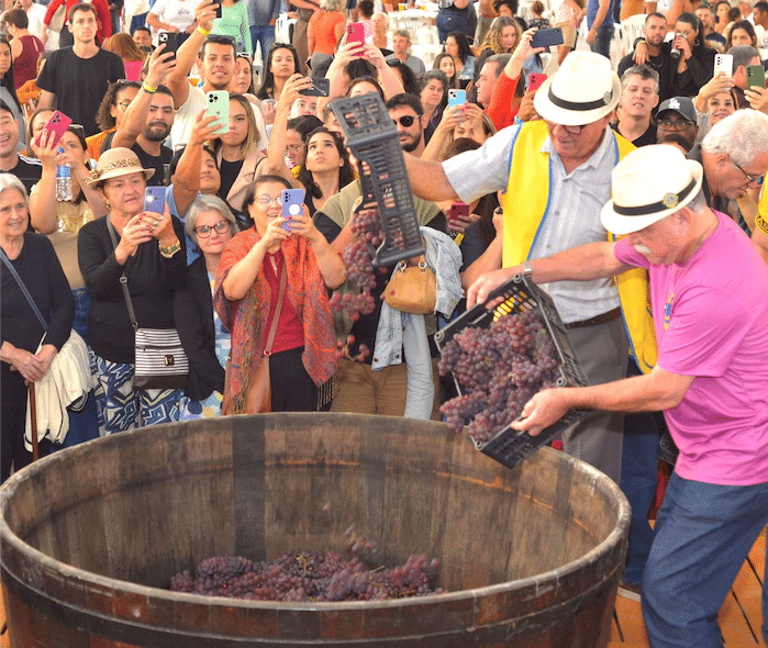 Santa Teresa se prepara para Festa do Vinho e da Uva.