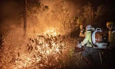 A maior parte dos incêndios florestais no Brasil é causada por ação humana, segundo o sistema Alarmes. Foto: Agência Brasil