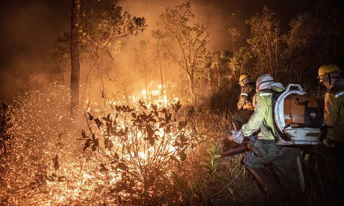 A maior parte dos incêndios florestais no Brasil é causada por ação humana, segundo o sistema Alarmes. Foto: Agência Brasil