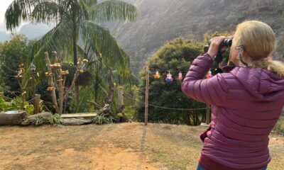 Sítio Altoé da Montanha é o novo destino para observação de aves em Venda Nova do Imigrante, com rica biodiversidade local. Foto: Divulgação