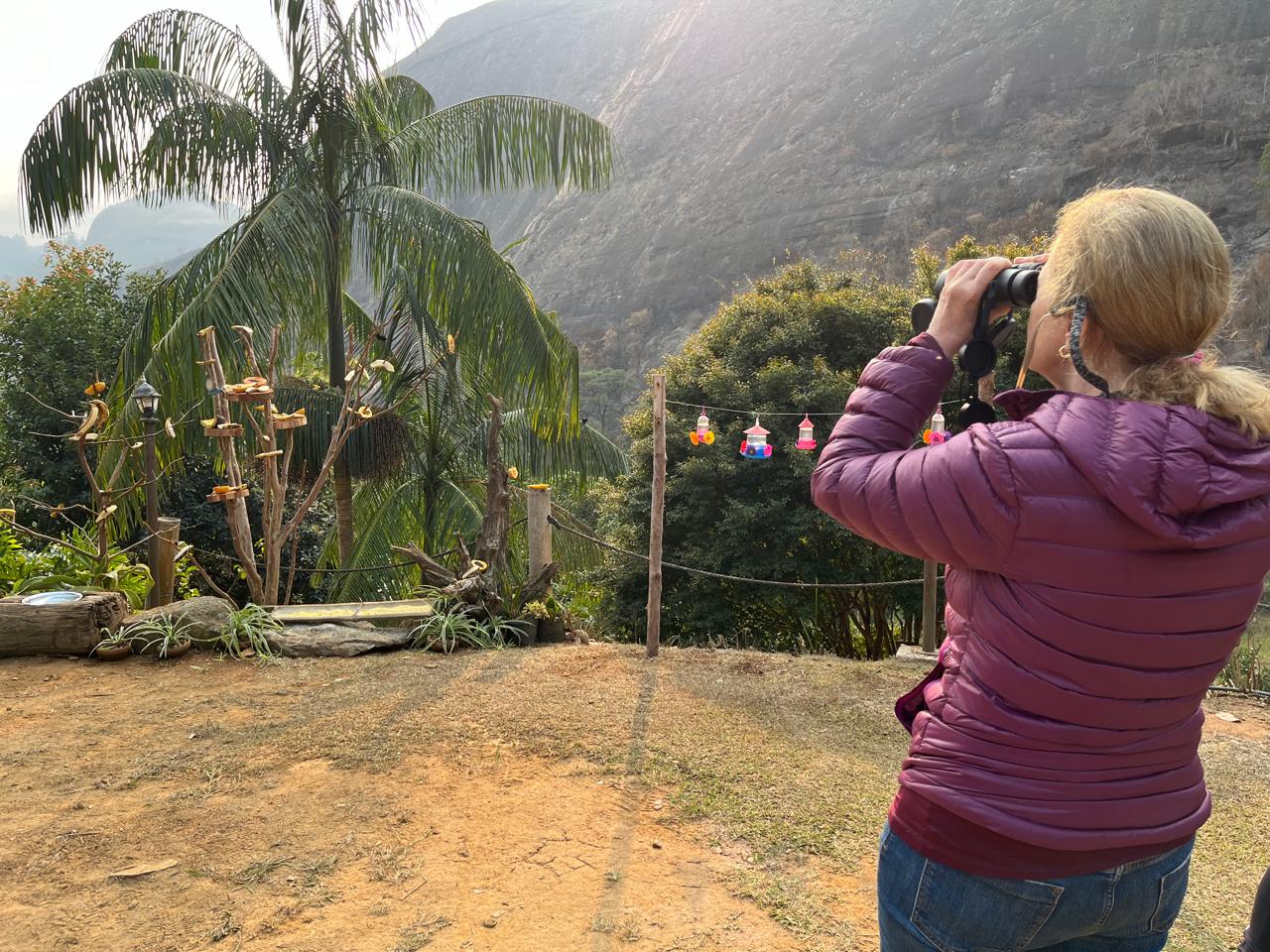 Sítio Altoé da Montanha é o novo destino para observação de aves em Venda Nova do Imigrante, com rica biodiversidade local. Foto: Divulgação